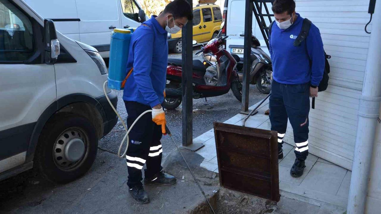 Antalya Alanya'da Sinek ve Haşerelere Yönelik İlaçlama Çalışmaları Devam Ediyor