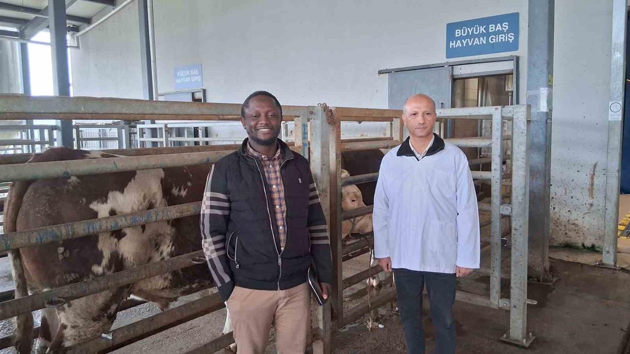 Kocaeli İzmit'teki Mezbahada Helal Gıda Standartları İncelemeleri Gerçekleştirildi