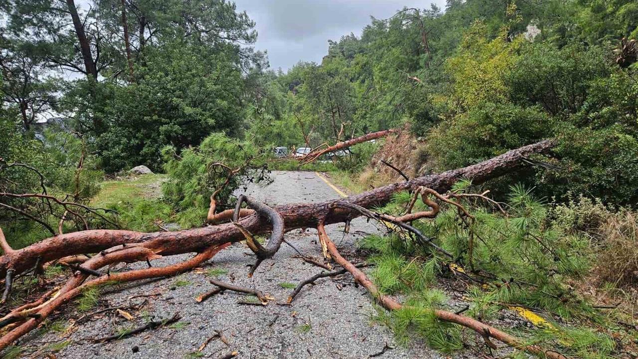 Muğla Menteşe'de Şiddetli Yağış ve Rüzgar Ulaşımı Olumsuz Etkiledi