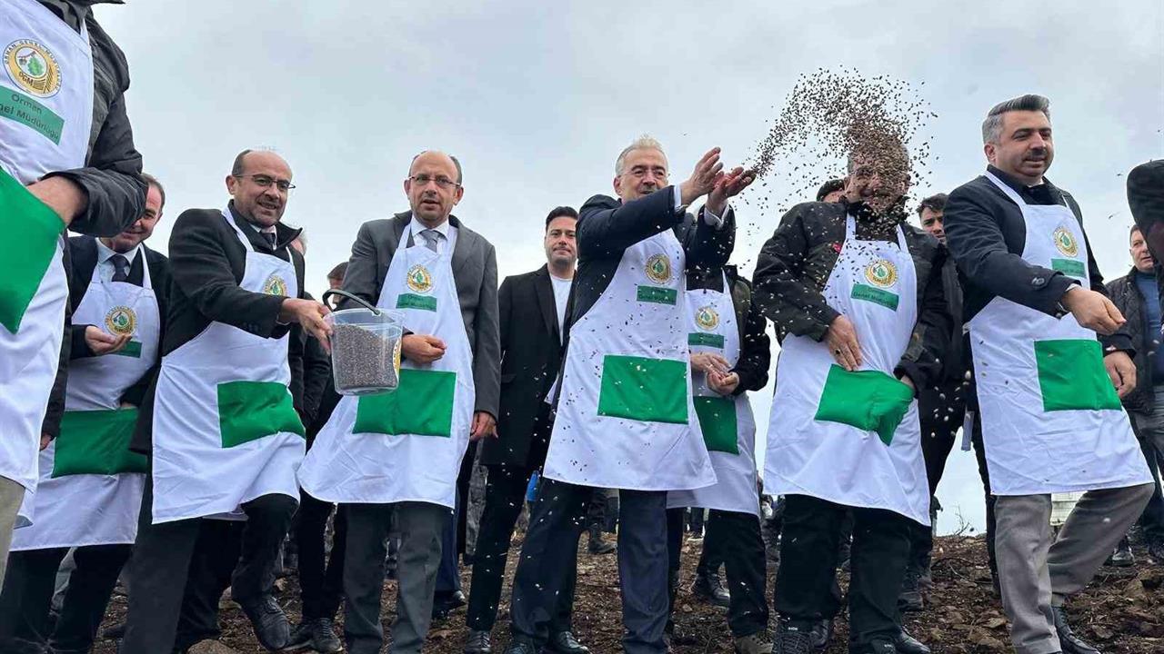 Bursa Harmancık'ta Yanan 4 Bin 256 Hektar Alan İçin Ağaçlandırma Çalışmaları Başladı