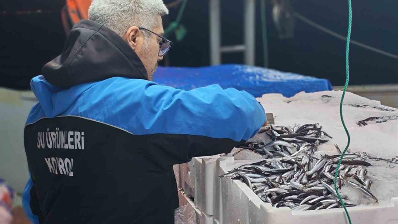 Çanakkale Gelibolu'da Gerçekleştirilen Denetimlerde 45 Kilo Balığa El Konuldu