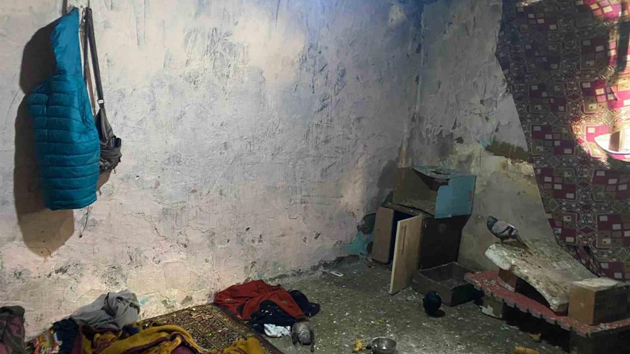 Ankara'da Kümeste Yaşayan Üç Kardeş, Sosyal Medya Fenomeninin Yardımıyla Kurtarıldı