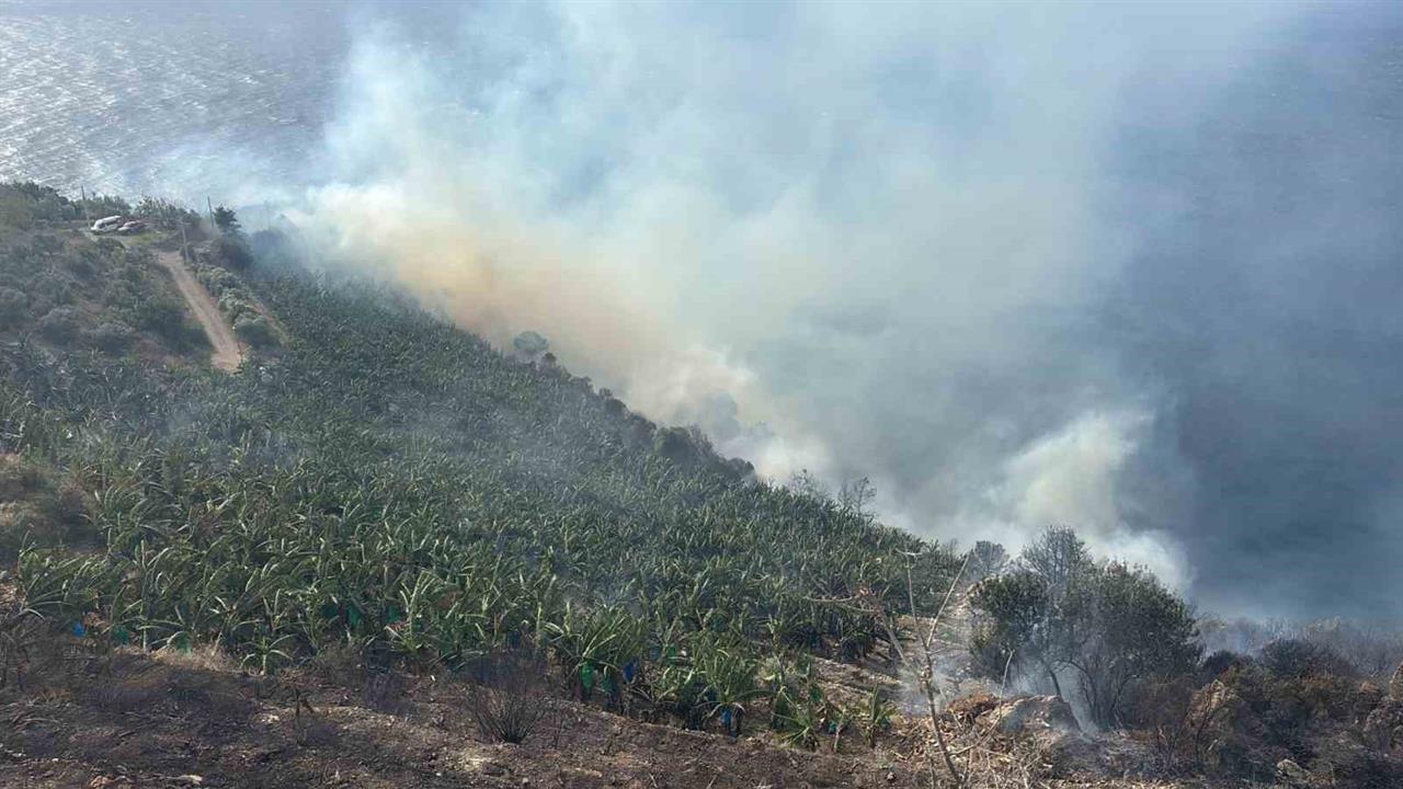 Antalya Gazipaşa'da Muz Bahçelerinde Çıkan Yangın Ekiplerce Kontrol Altına Alındı