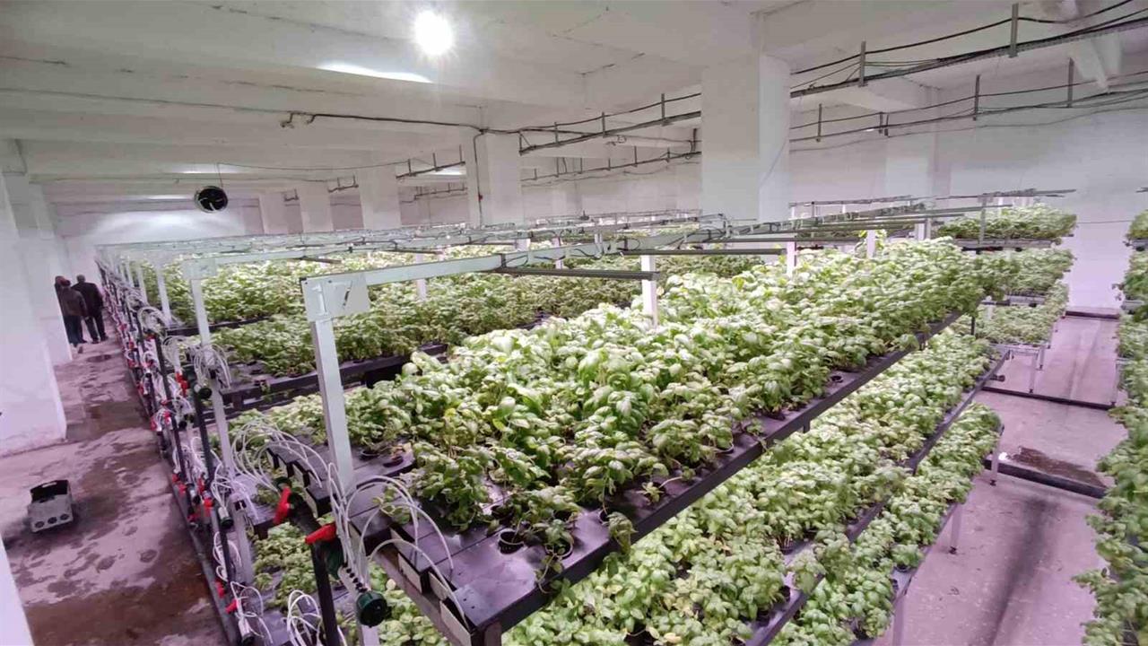 Batman'da 30 Milyonluk Dikey Tarım Yatırımı Hayata Geçti