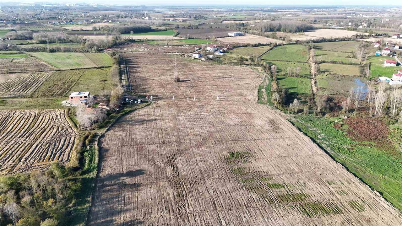 Samsun'da Hayata Geçirilen İncir Projesi Kız Çocuklarına 50 Milyon TL Burs Sağlayacak