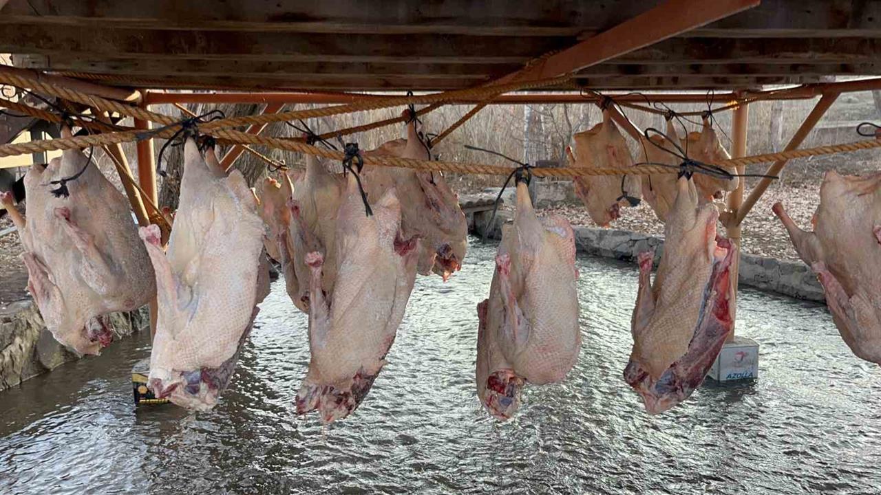 Kars Akyaka'da Kaz Yetiştiriciliği ve Kurutma İşlemleri Devam Ediyor