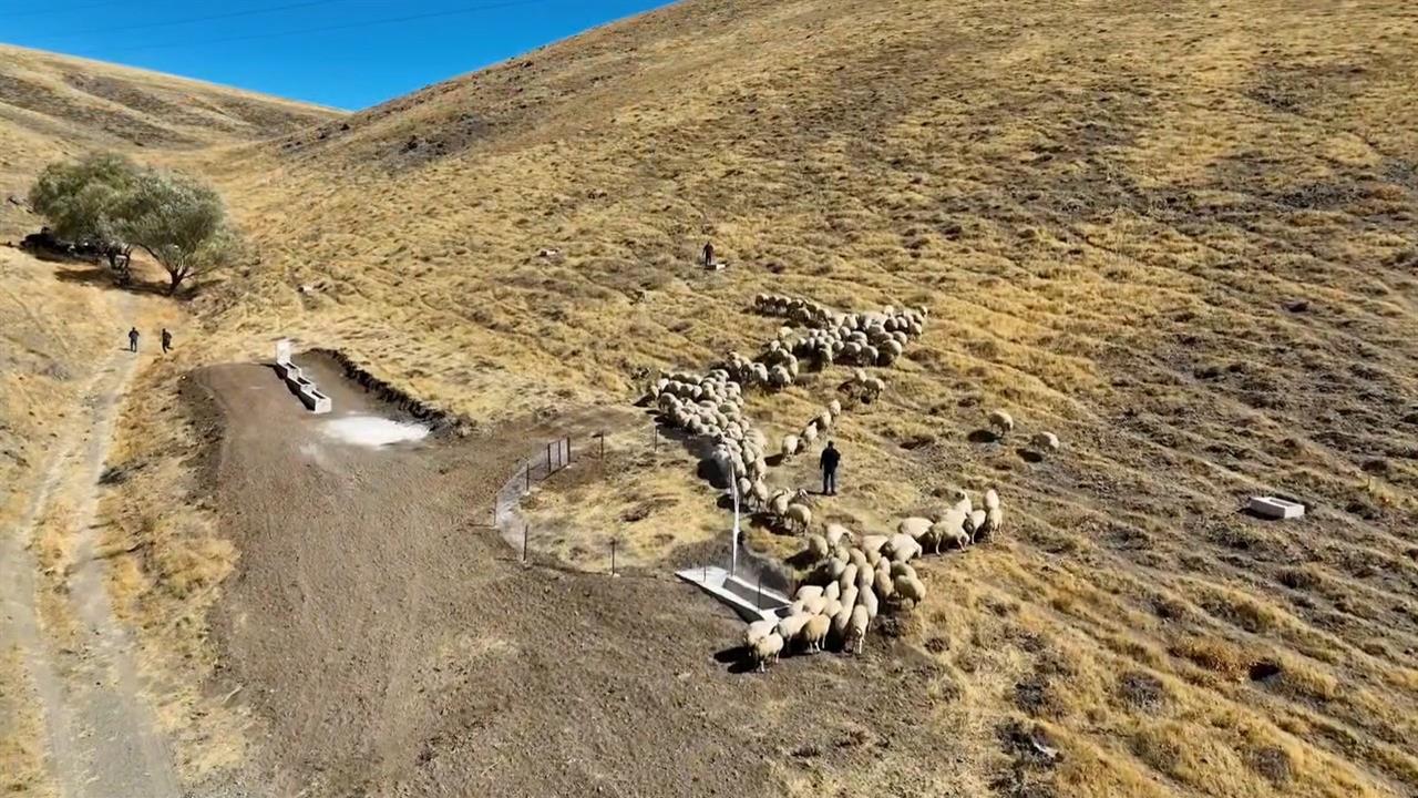 Niğde Ulukışla'da Hayvan İçme Su Alanı Projesi Tamamlandı