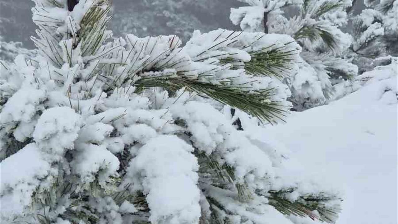 Muğla Kavaklıdere'de Göktepe Dağı'na İlk Kar Düştü