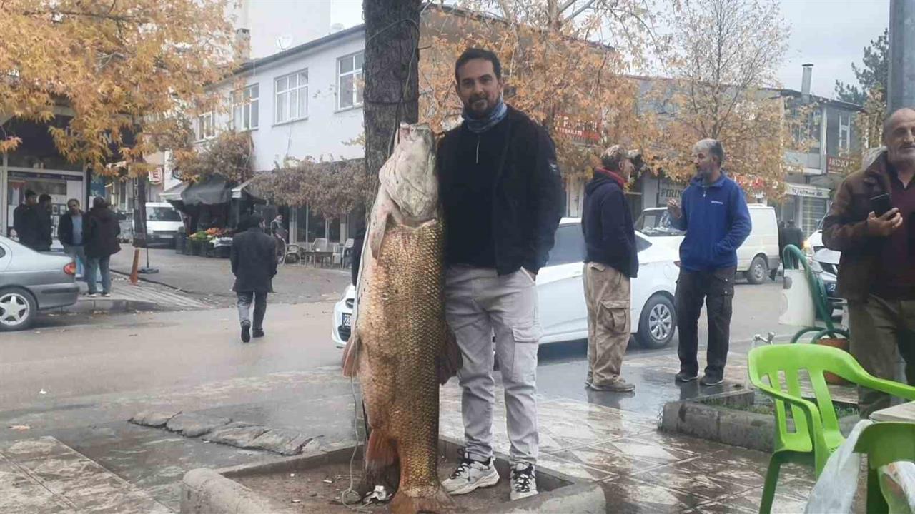 Elazığ'da Amatör Balıkçılar Murat Nehri'nden 60 Kiloluk Turna Balığı Çıkardı