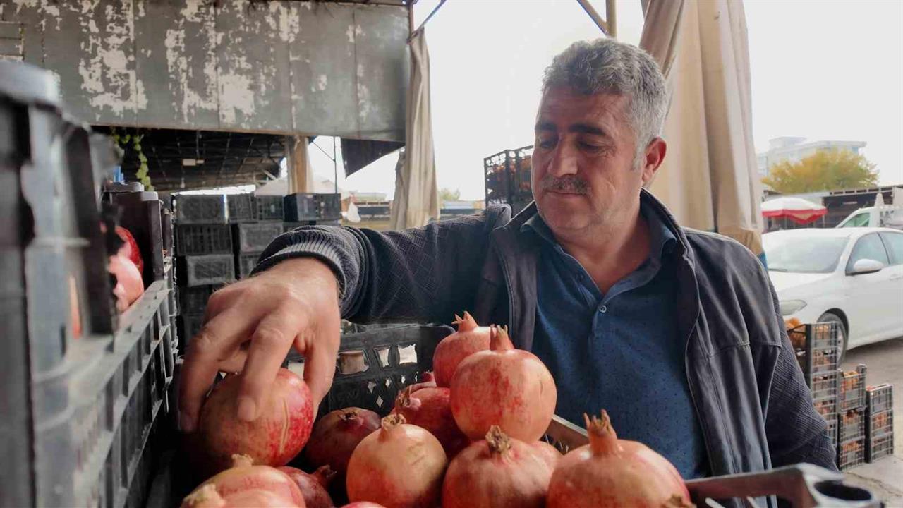 Siirt Şirvan'da Kuraklık Nedeniyle Zivzik Narı Verimi Yarıya Düştü