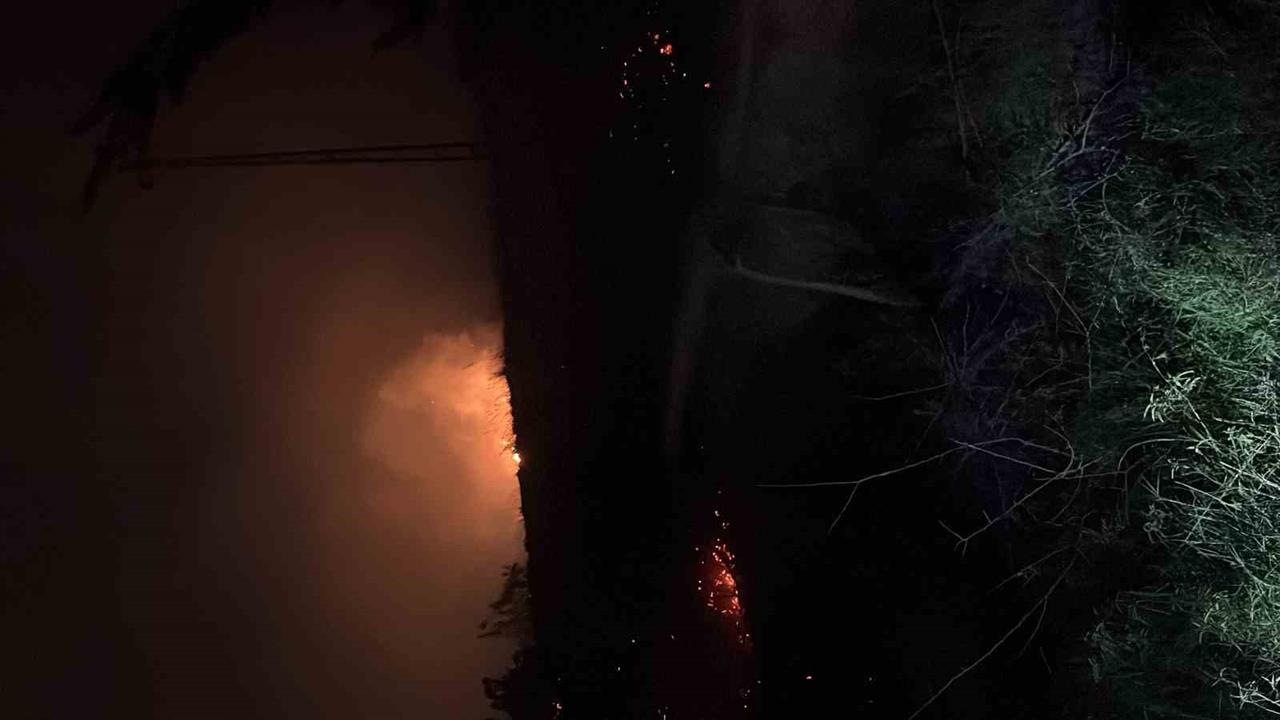 Hatay İskenderun'da Meydana Gelen Otluk Yangınında Can Kaybı Olmadı