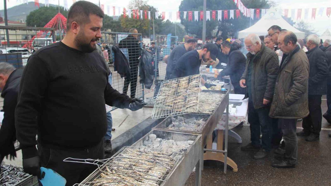 Perşembe'de Gerçekleşen Hamsi Festivalinde 7 Ton Hamsi Tüketildi
