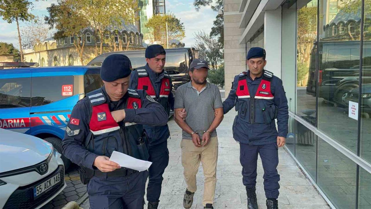 Samsun Tekkeköy'de Ağaç Kesimi Sırasında Komşusunun Ölümüne Neden Olan Şahıs Tutuklandı