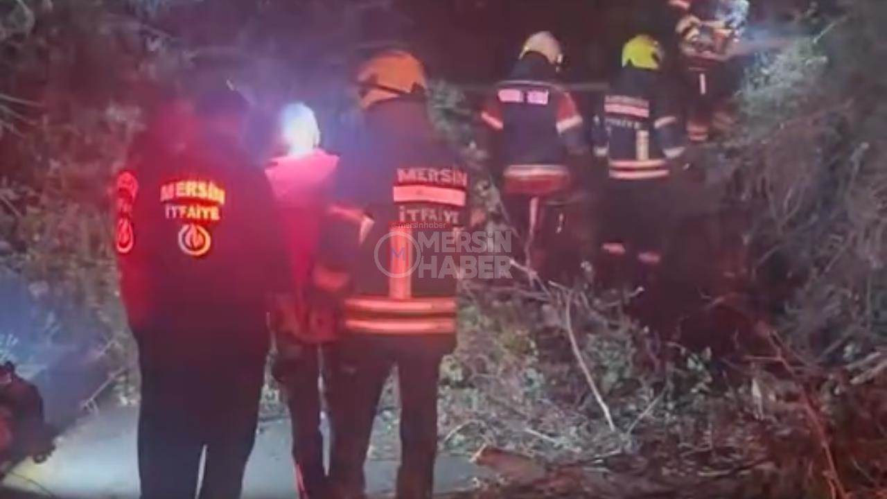 Son Dakika: Mersin Mezitli Soli'de Devrilen Ağacın Altında Kalan Kişi Kurtarıldı