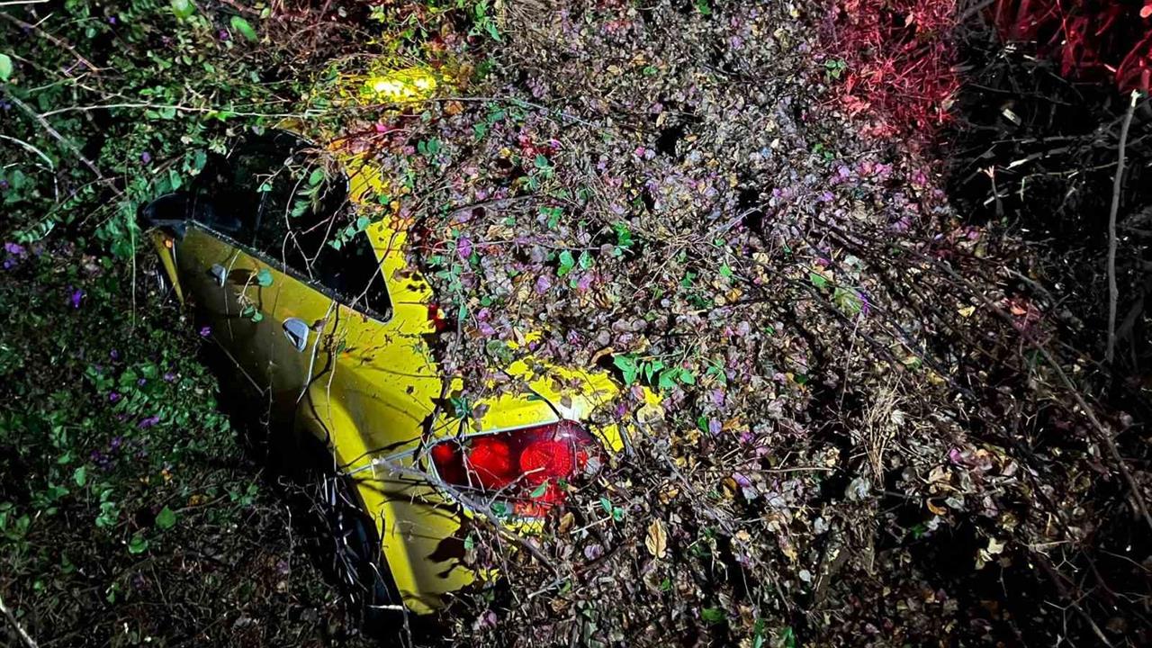 Mersin Mezitli'de Ağaç, Sürücüsünün Olduğu Aracın Üzerine Devrildi