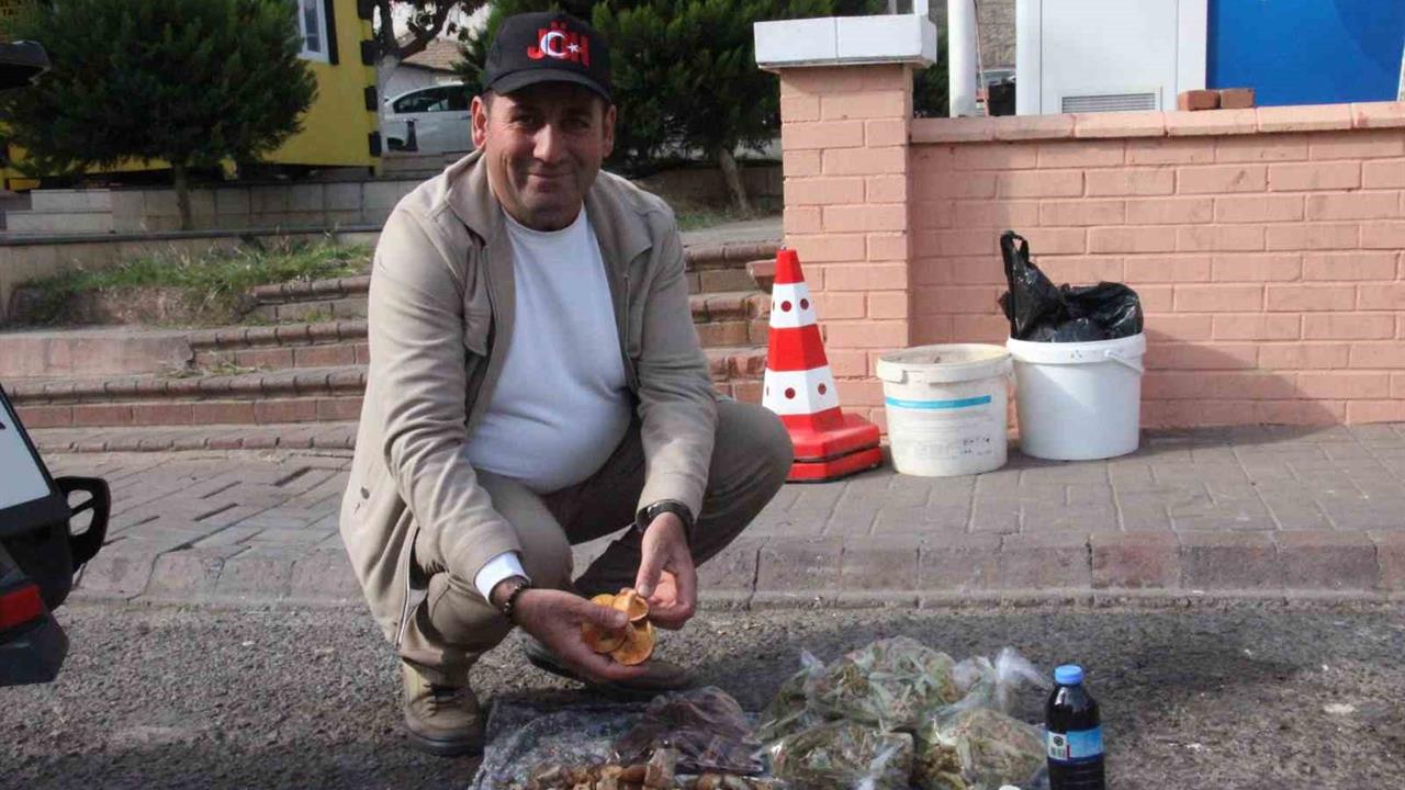 Aydın Bozdoğan'da Doğal Mantarlar Lezzetli Ama Dikkat Gerektiriyor