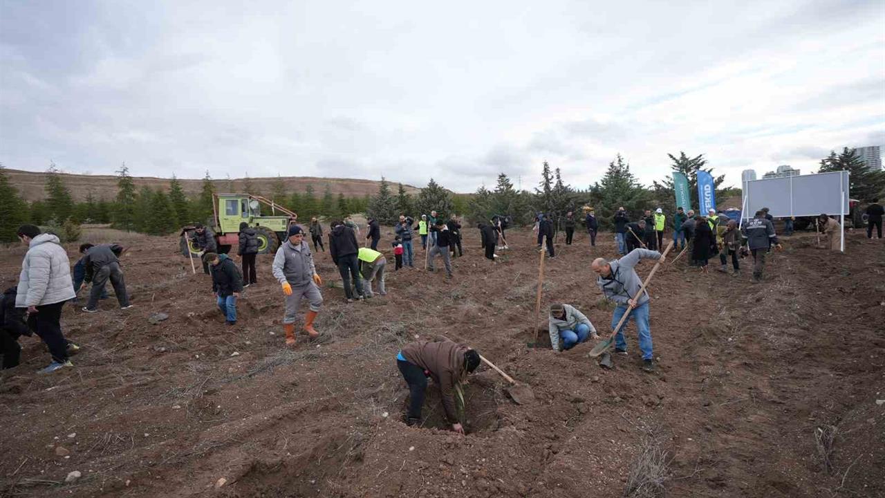 Ankara'da TUSAŞ Şehitleri Anısına Fidan Dikim Töreni Gerçekleştirildi