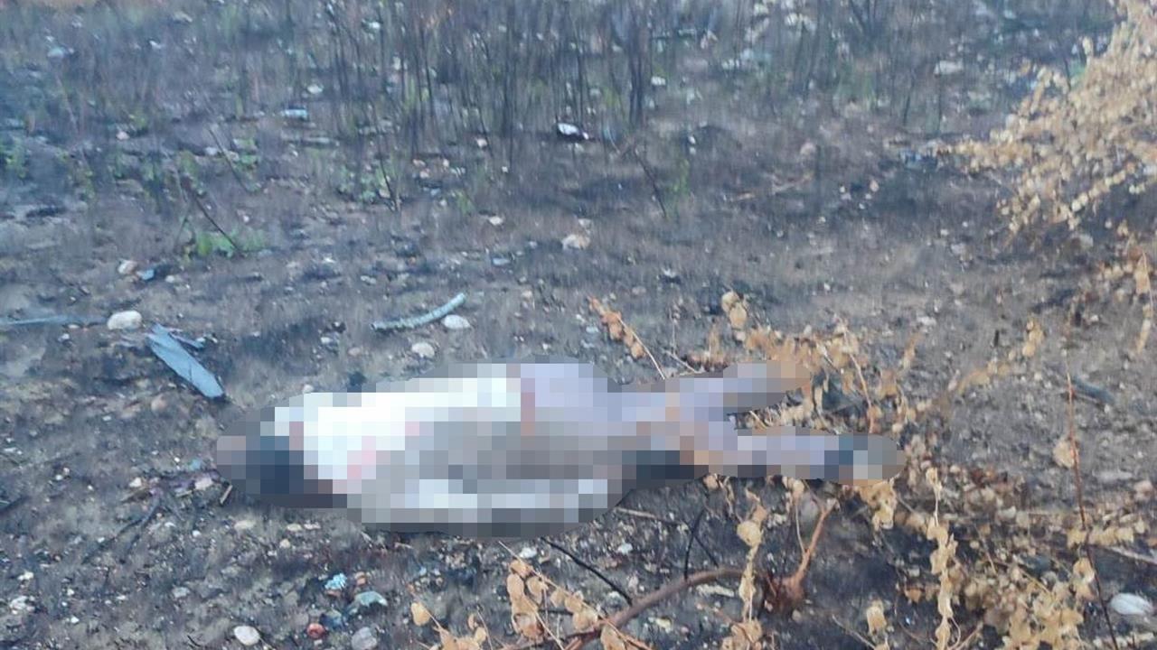 Mersin'de Akşam Saatlerinde Viyadükten Düşen Araç Sürücüsü Hayatını Kaybetti