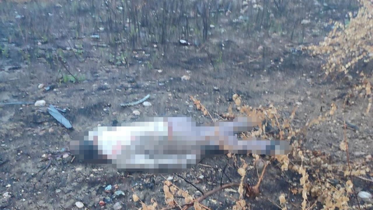 Müftü Viyadüğündeki Gizem Çözüldü: 30 Metreden Uçan Sürücü Viyadük Altında Ölü Bulundu, Araç Üstte Kaldı!