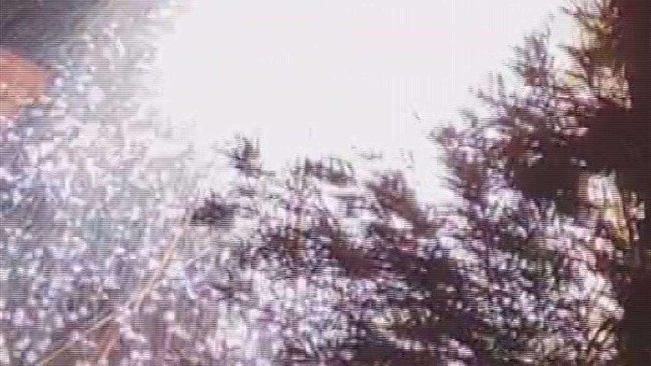 Hatay Antakya'da Elektrik Kablolarında Meydana Gelen Patlamada Gece Gündüze Döndü