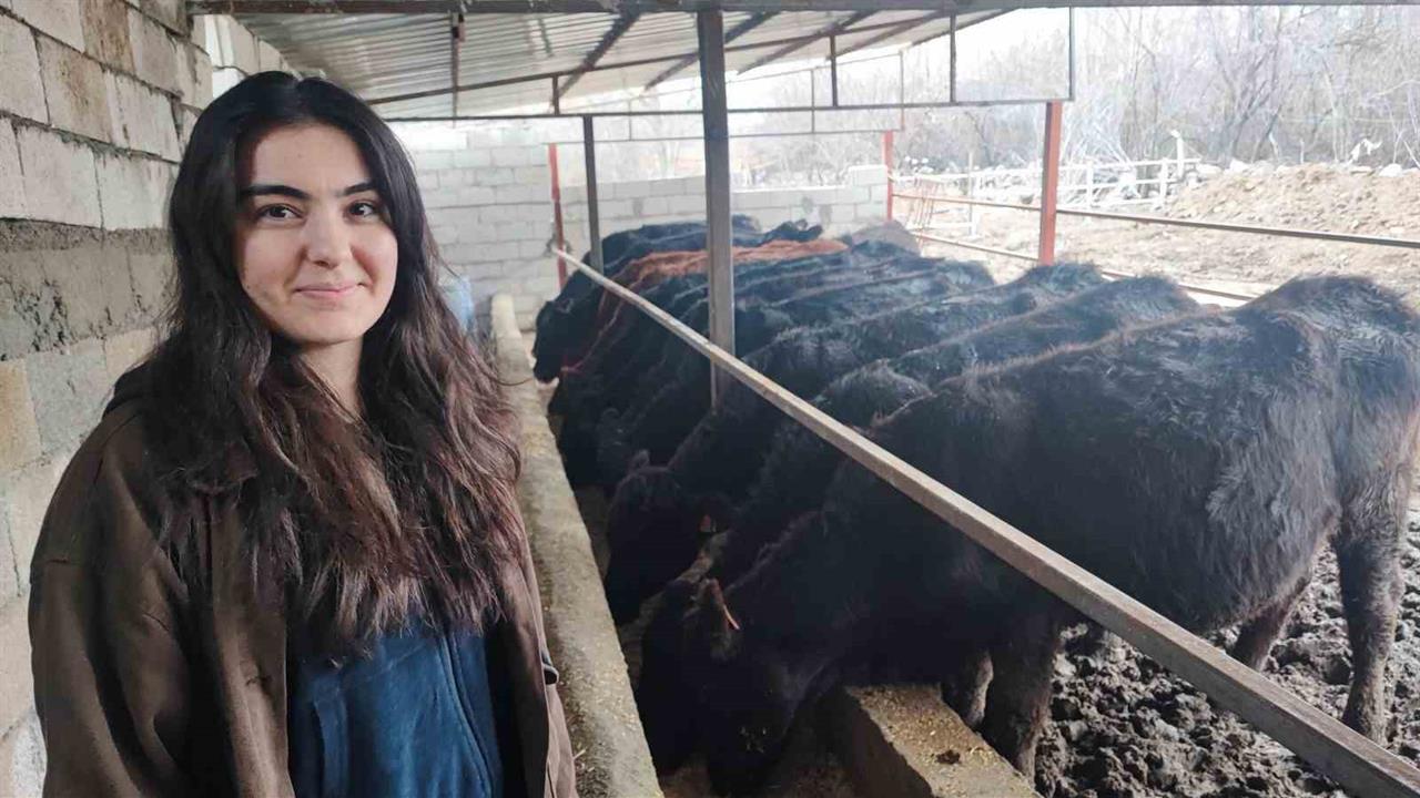 Yozgat Şefaatli'de Atama Bekleyen Genç Kadın Hayvancılığa Başladı