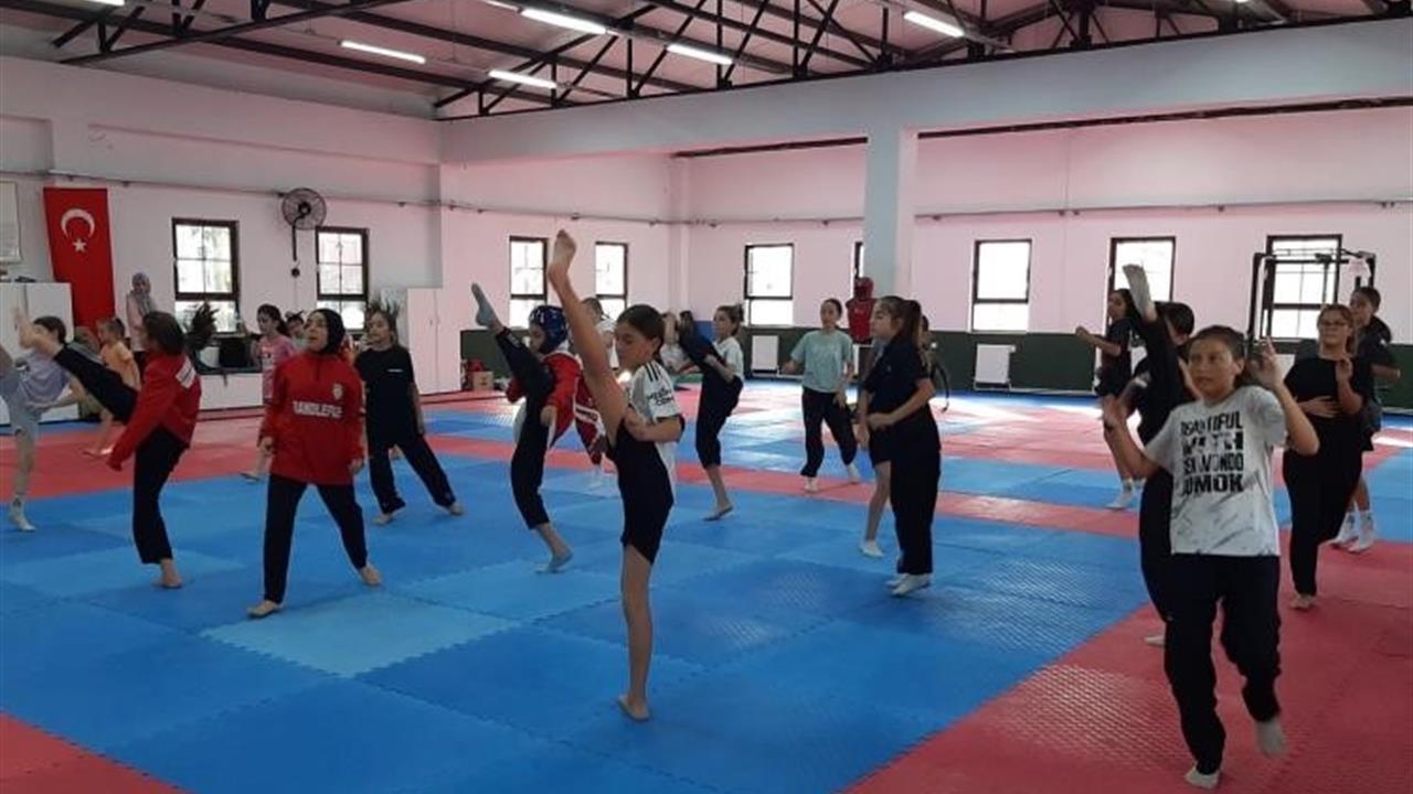 Bilecik Osmaneli'de Devam Eden Taekwondo Antrenmanları Gençlere Disiplin Kazandırıyor