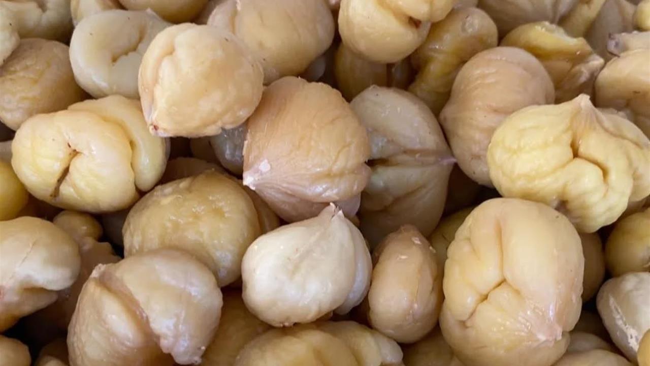 Aydın'da Kestane Hasadı Tamamlandı, İhracata Hazırlık Başladı