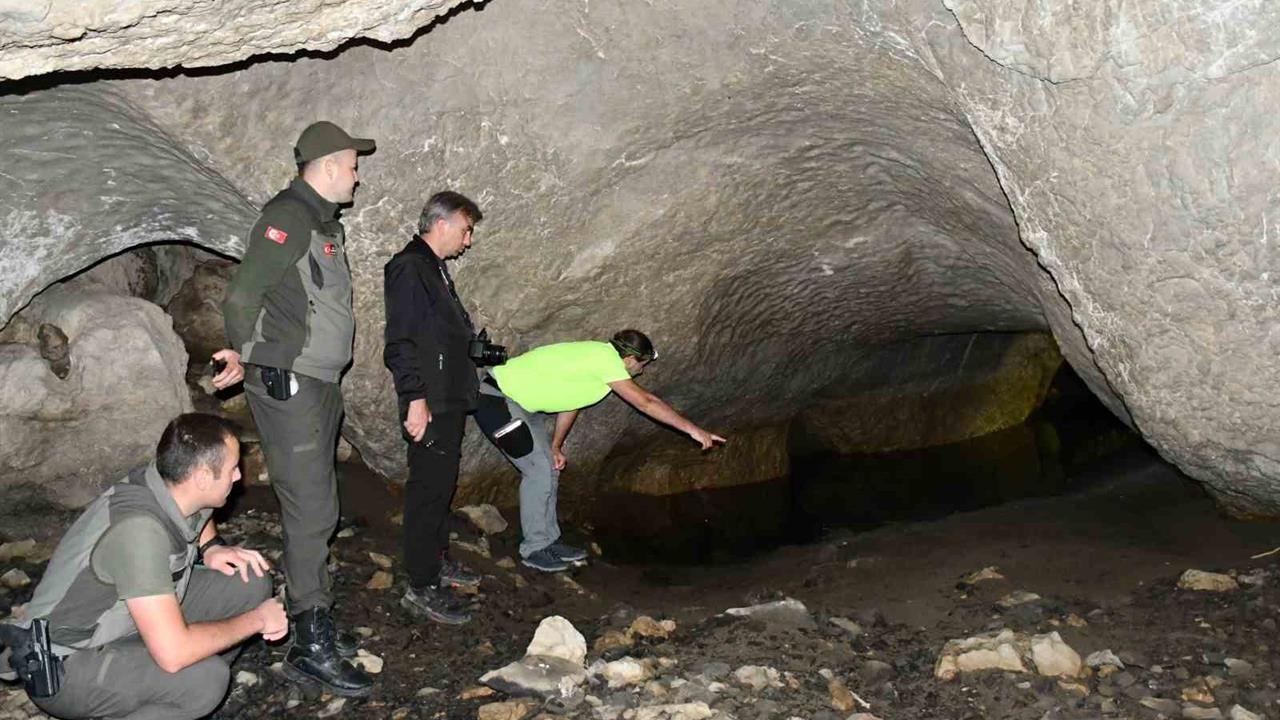 Kastamonu Araç ilçesindeki 5 Girişli Mağara, Turizme Kazandırılmayı Bekliyor