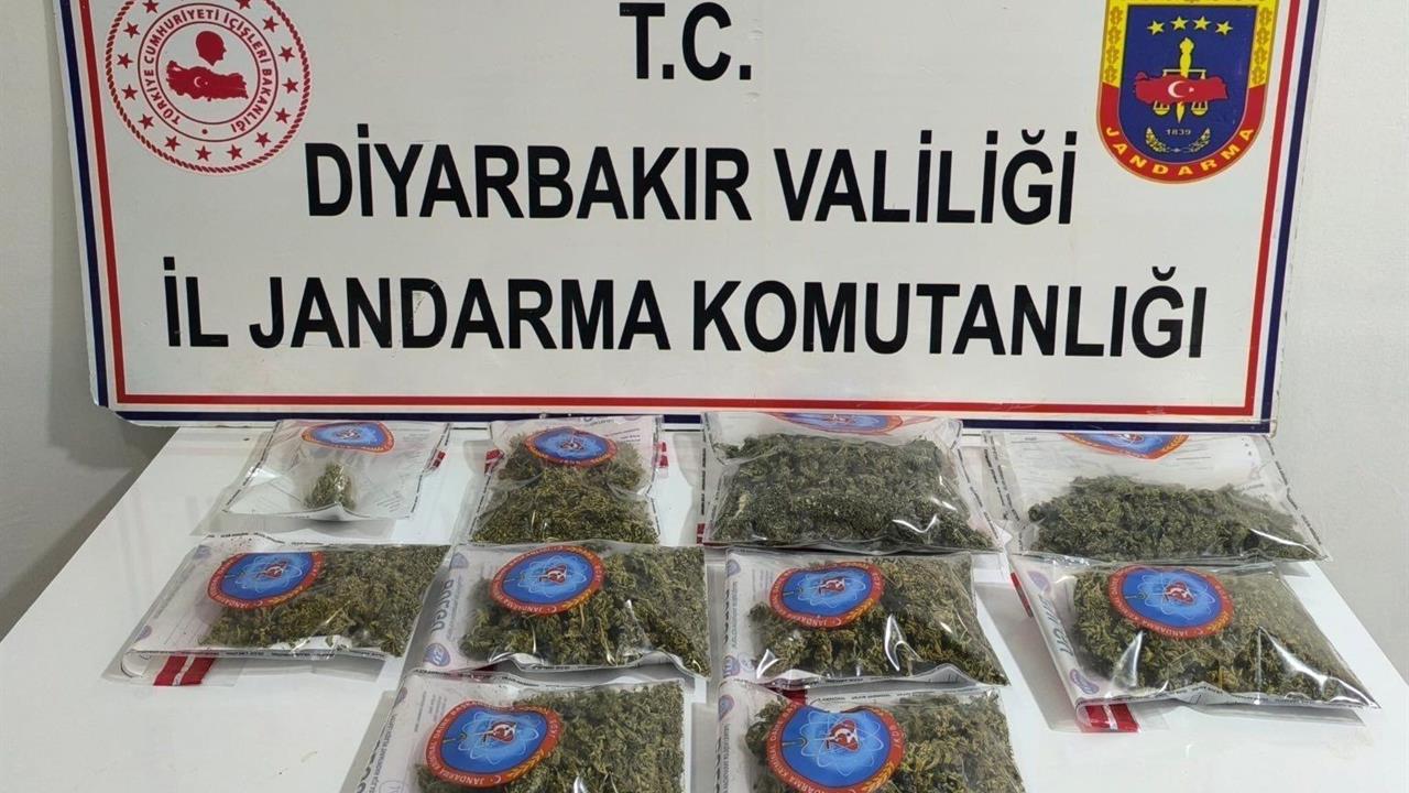 Diyarbakır'da Jandarma Ekiplerinin Düzenlediği Operasyonda 25 Kilo Esrar Yakalandı