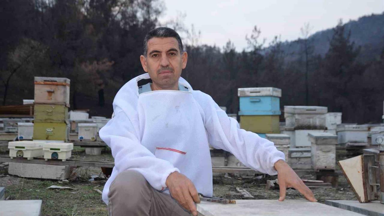 Bilecik Osmaneli'de Arıcılık Yapan Bayram Özçanak, Türkiye'ye Ana Arı Gönderiyor