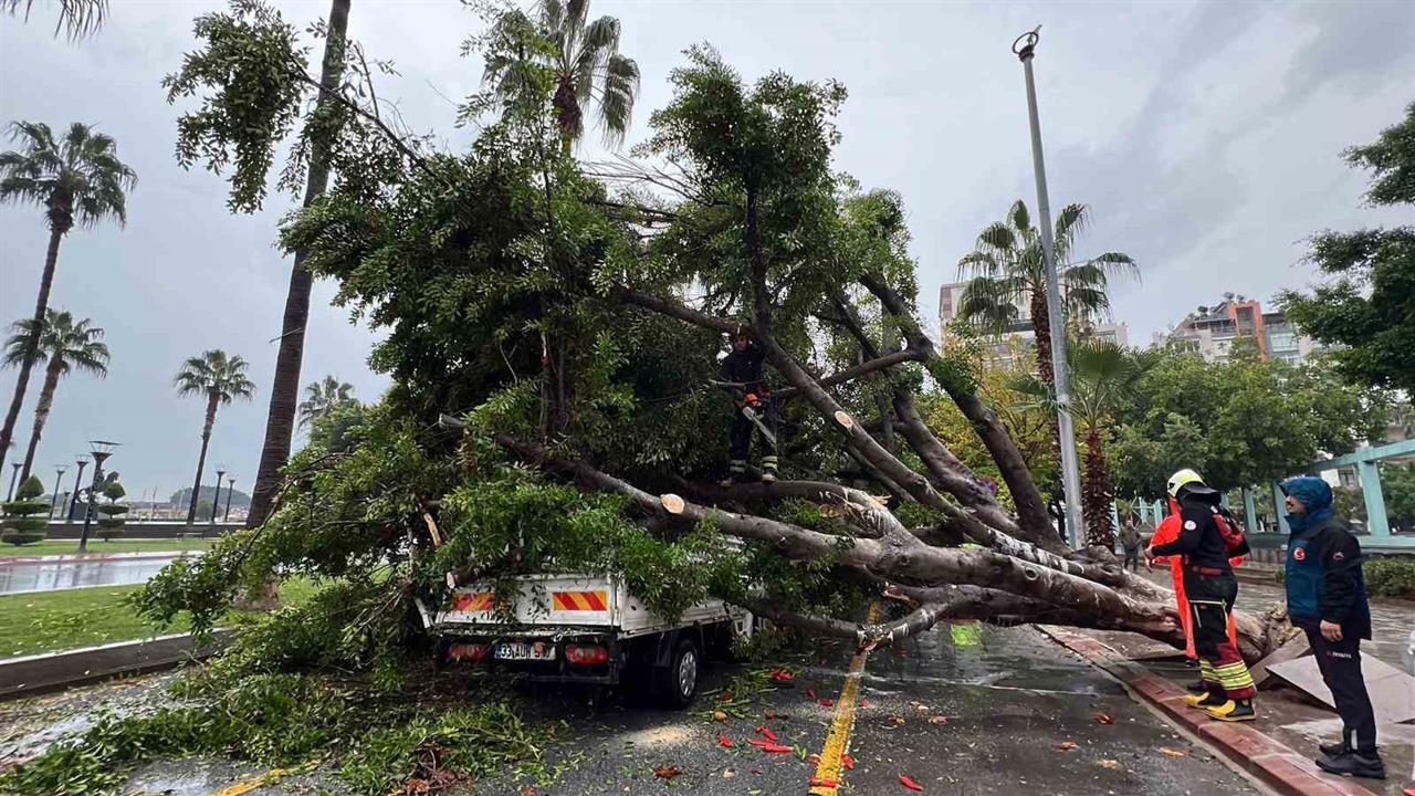 Mersin Akdeniz'de Yağmur Nedeniyle Devrilen Ağaç, Üç Araçta Hasara Yol Açtı