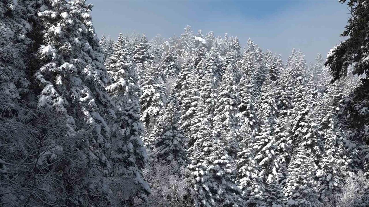 Bursa Uludağ'da Yoğun Sis Nedeniyle Görüş Mesafesi 5 Metreye Düştü