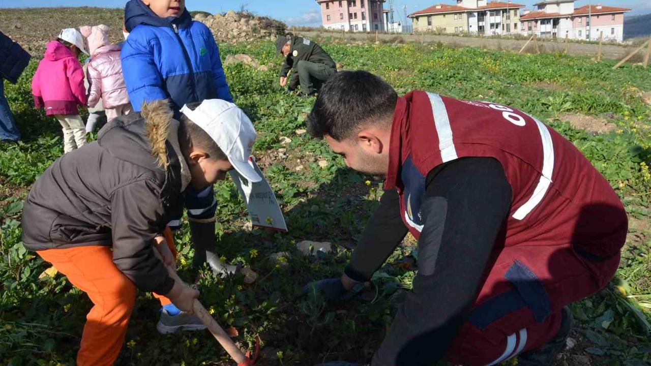 Manisa'da Yanan Alanlara 100 Bininci Fidan, Öğrenciler Tarafından Dikildi
