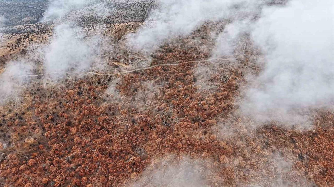 Çankırı Korgun'da Sis ve Renk Cümbüşüyle Kartpostallık Görüntüler