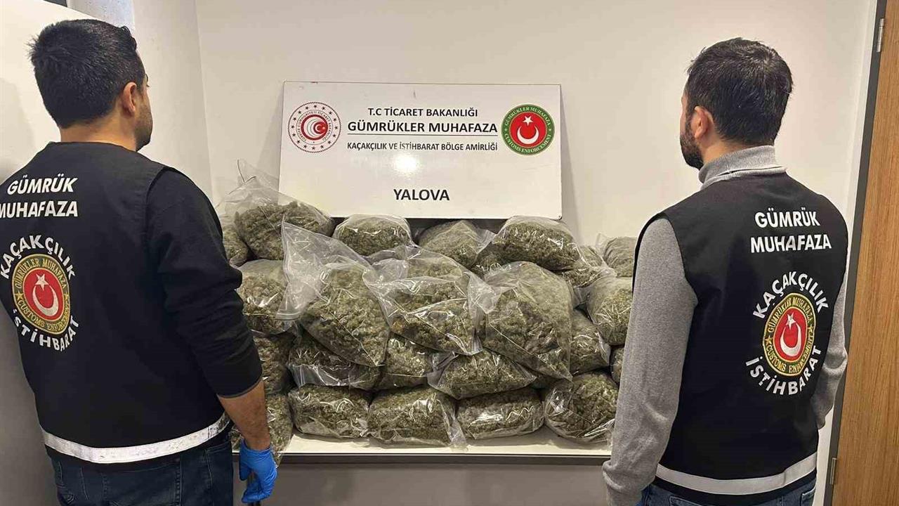 Yalova Limanı'nda Fransa'dan Gelen Tırda 37 Kilo Uyuşturucu Bulundu