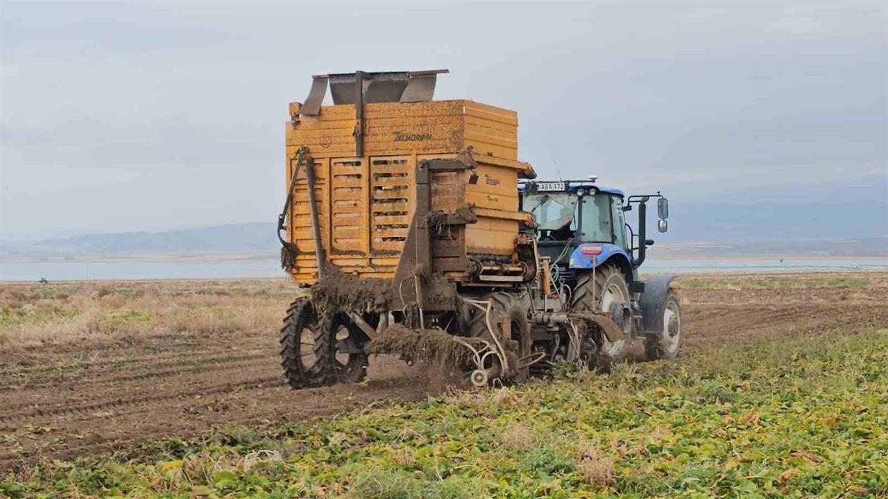 Adilcevaz'da Pancar Sökümü Süreci Hızla İlerliyor