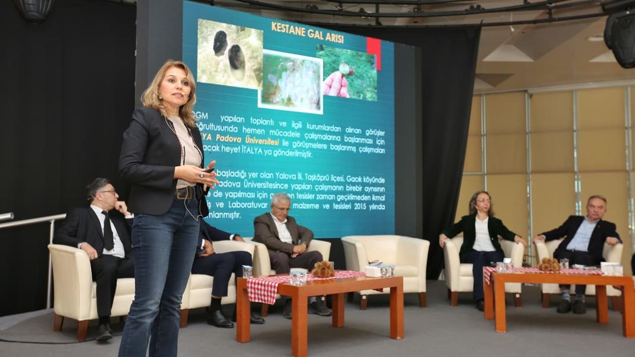 Bursa'da Kestane Üretimi Konulu Panel Gerçekleştirildi
