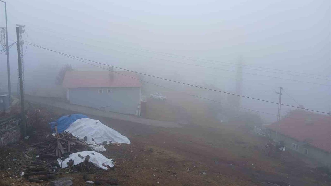 Ardahan Posof’ta Yoğun Sis Nedeniyle Ulaşımda Aksamalar Yaşanıyor