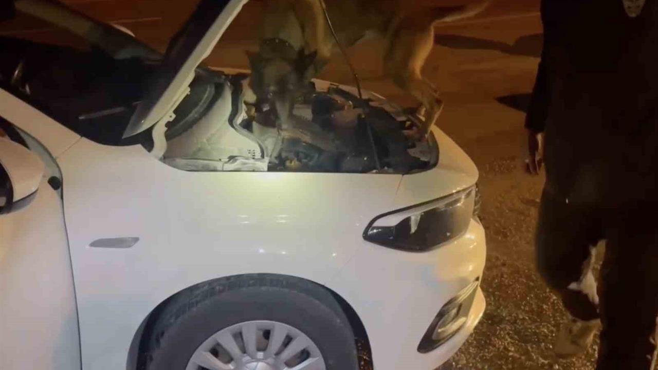 Kastamonu'da Gerçekleşen Uyuşturucu Operasyonunda 5 Kişi Tutuklandı