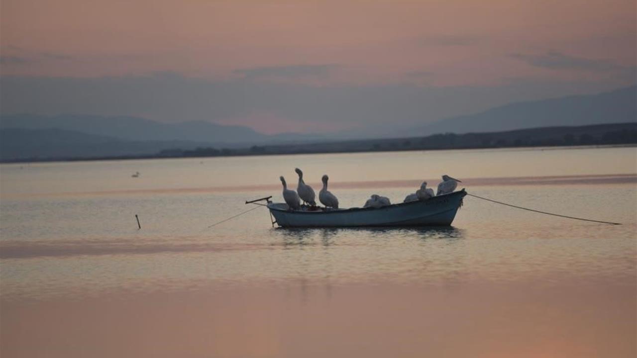Bursa Karacabey'de Manyas Barajı'ndaki Su Sorunu Nedeniyle Çeltik Ekimi Yasaklandı