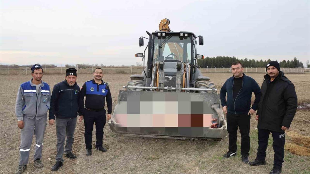Eskişehir Çifteler'de Yapılan Operasyonda 215 Kilogram Kaçak At Eti Bulundu