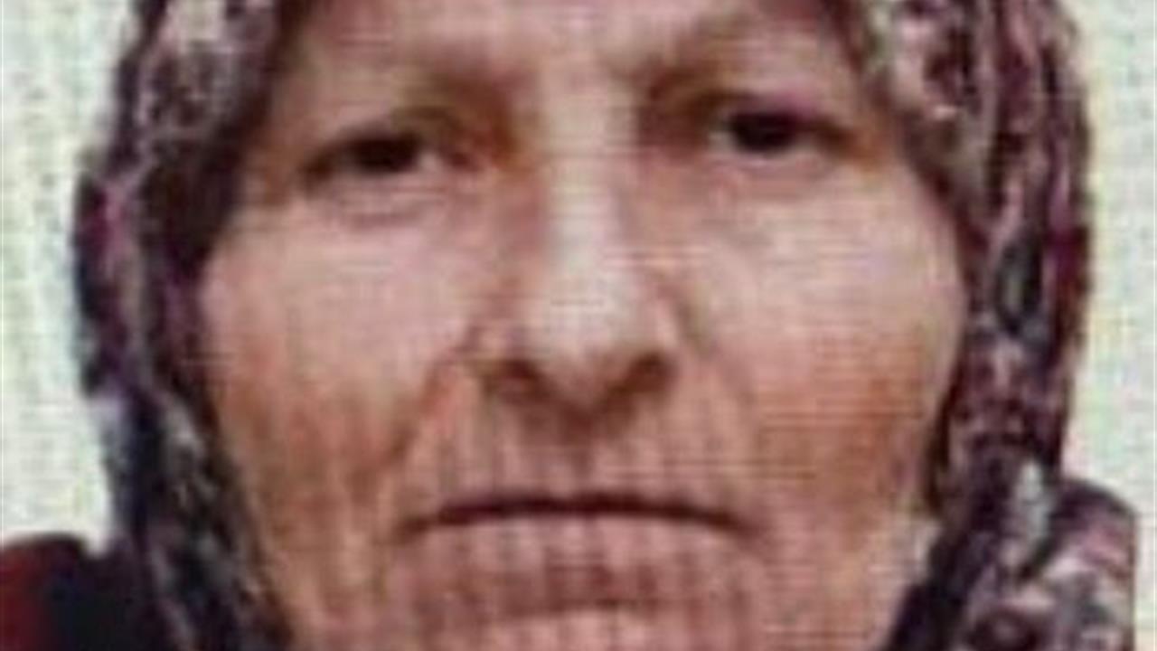 Bilecik Gölpazarı'nda Kaybolan 67 Yaşındaki Kadın Jandarma Tarafından Bulundu