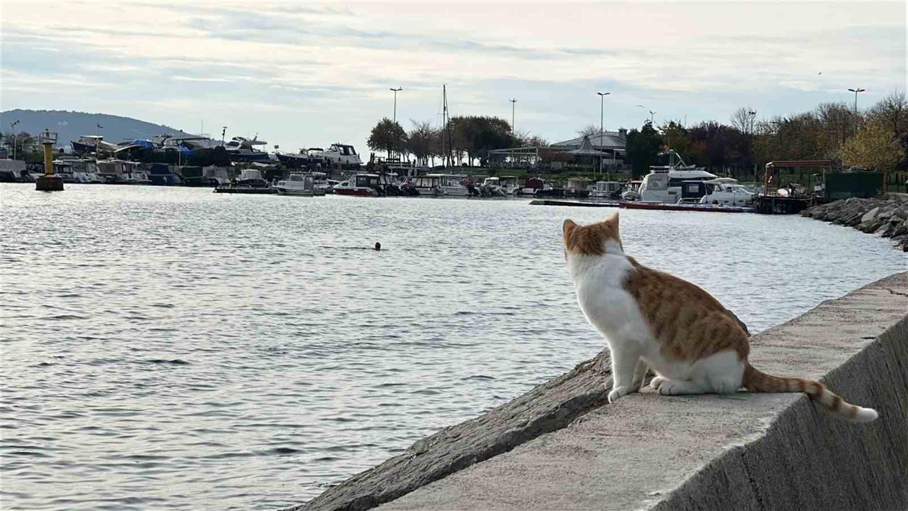 İstanbul Kartal'da İki Arkadaş Soğuk Hava Dinlemeden Denize Girdi