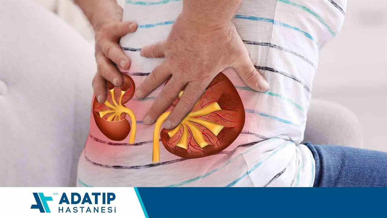 Sakarya'da Böbrek Taşı Vaka Yönetimi İçin Kişiye Özel Yöntemler Geliştirildi