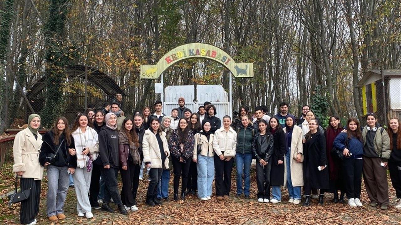 Samsun'da OMÜ Öğrencileri, Sokak Hayvanları İçin 312 Kilo Mama Bağışında Bulundu