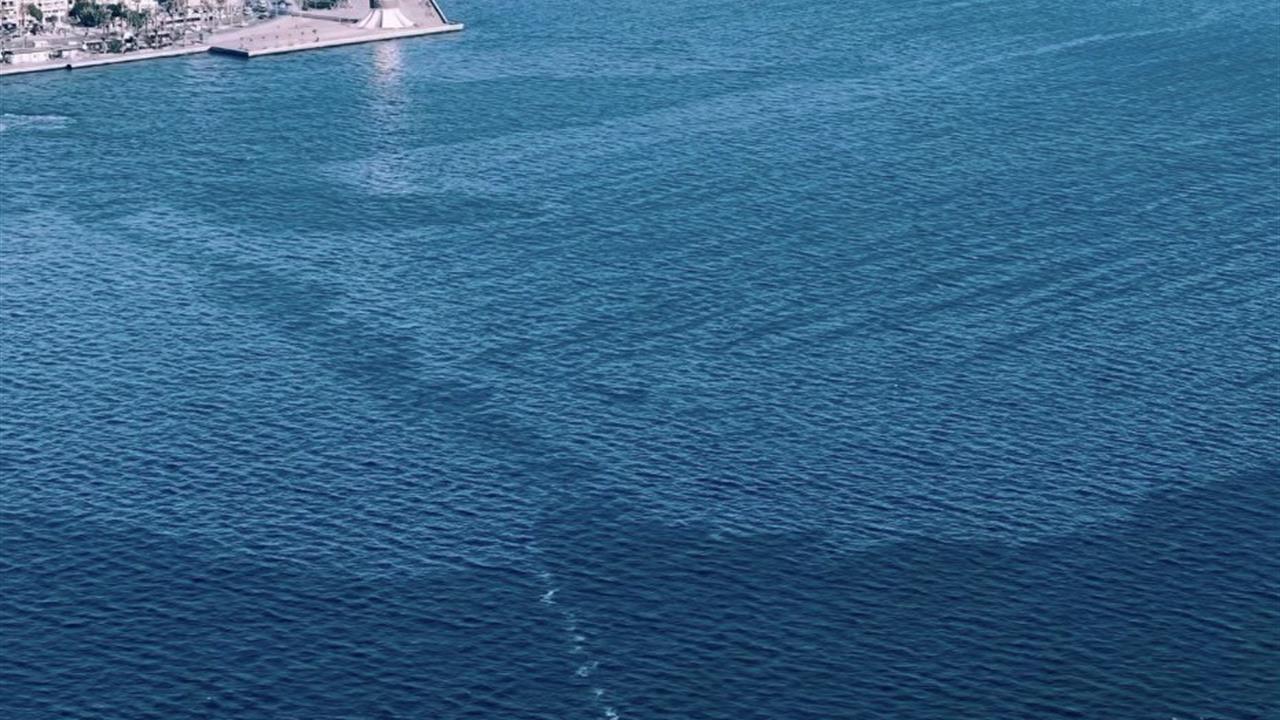 İzmir Karşıyaka'da Körfez'deki Kirliliğe İlişkin Açıklama Yapıldı