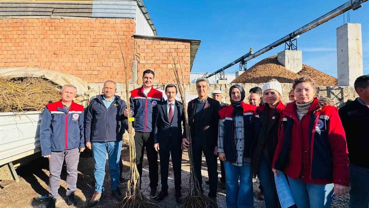 Aydın Bozdoğan'da 8.700 Adet Fidan Üreticilere Dağıtıldı