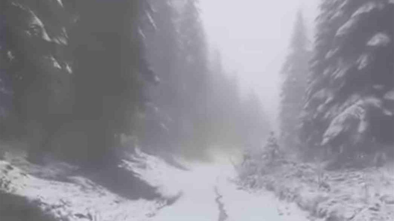 Karabük Ovacık'ta Devam Eden Kar Yağışı Vatandaşları Etkiledi