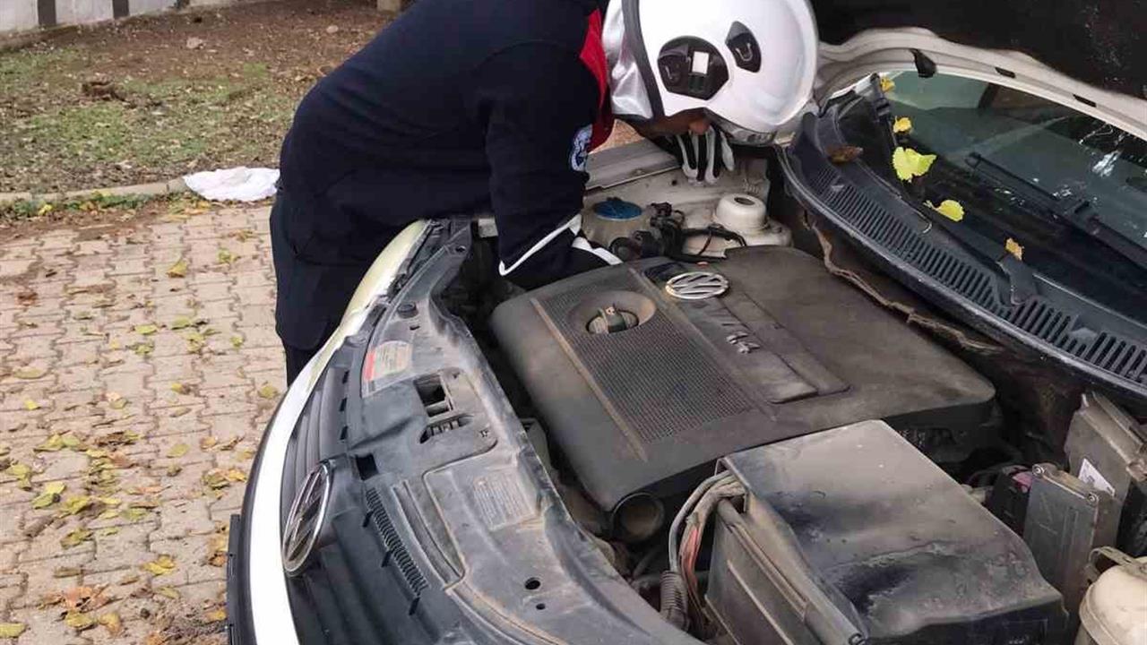 Hatay Reyhanlı'da Park Halindeki Aracın Motoruna Giren Kedi Kurtarıldı