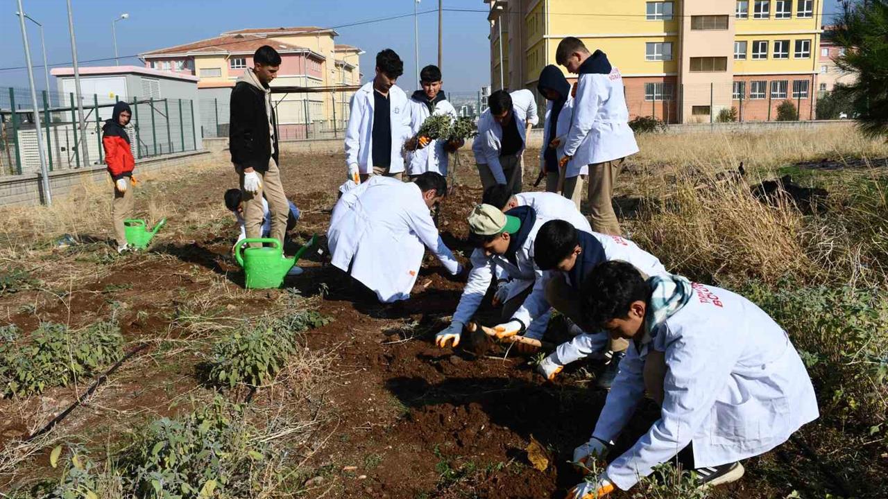 Şanlıurfa Siverek'te Öğrencilere 'Tohumdan Sofraya' Tarım Eğitimi Veriliyor